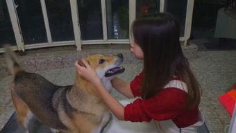 娱乐吃瓜酱狗子,揭秘娱乐圈那些不为人知的幕后故事  第3张